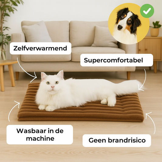Cavorria WinterPaw Bed™ - De #1 oplossing tegen rillingen, kou en ongemak bij katten