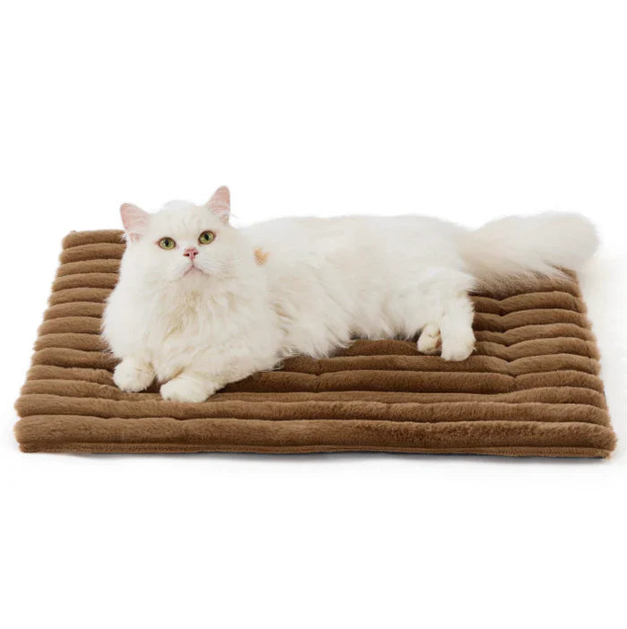 Cavorria WinterPaw Bed™ - De #1 oplossing tegen rillingen, kou en ongemak bij katten