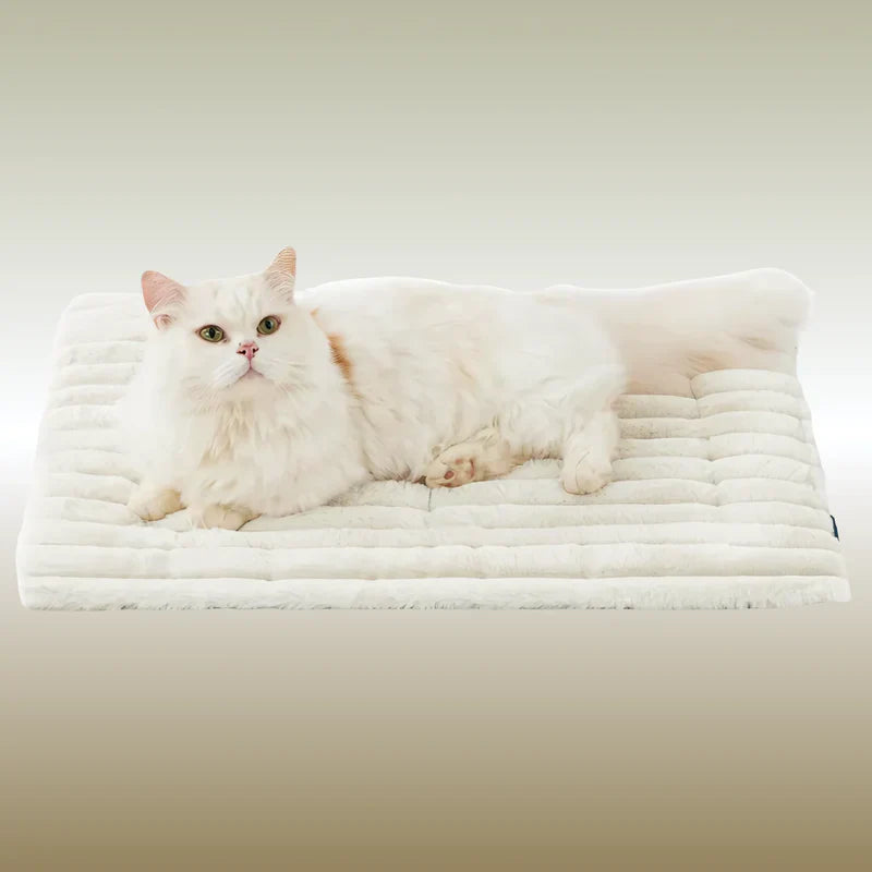 Cavorria WinterPaw Bed™ - De #1 oplossing tegen rillingen, kou en ongemak bij katten