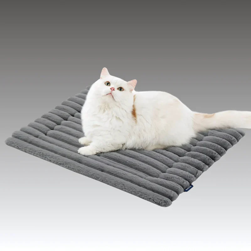 Cavorria WinterPaw Bed™ - De #1 oplossing tegen rillingen, kou en ongemak bij katten
